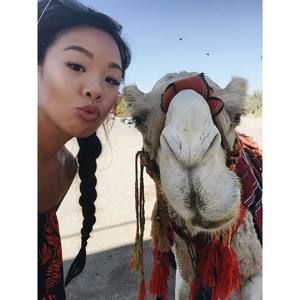 Meet your Posher, Vy